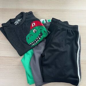 Boy’s Bundle Graphic Tee and Shorts Size 4T